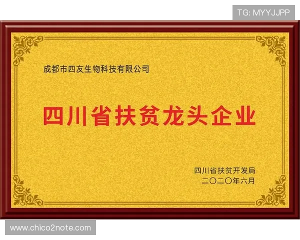 J9九游集团官网官方平台安全保障措施及账号安全维护指南